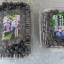 철마농장 이미지