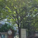 성원밧데리 | 의정부 신곡동 신곡성원아파트유니코 3200N 도어락 + 도어클로저 + 자동페달 설치 후기