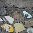 풍도공중화장실 | 풍도 백패킹 시작된 봄과 모자란 봄.