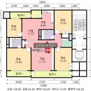 압구정-205 이미지