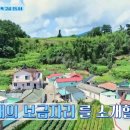 가룡마을회관 | 언니네 산지직송 고성 빨간벽돌집 언니네, 가룡마을 집 숙소 위치
