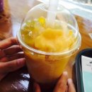 버블이 정관점 이미지