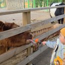 평강농장 | [포천여행]'마이애니멀스토리 in 평강랜드' 포천 가볼만한곳 추천!