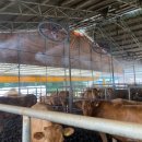 최재선 축사 이미지