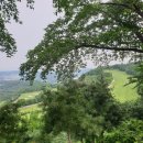 호반서서울 주식회사 이미지