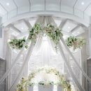 더화이트 이미지