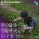 서울 도봉 서울환경연합 2025 무수골 생물다양성 대탐사 참여자 모집 (모집 중)