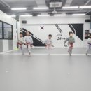 한양대 21세기 태권도장 이미지