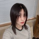 하이디(주) 이미지