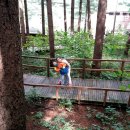 청태산목장 이미지