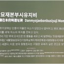 영월-50