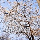 옐로우라이트하우스 이미지