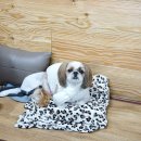 동문당구클럽 이미지