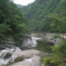 산과물과별