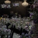 유림-1135 | W7, 아이폰스냅 [마이스윗피스냅] 계약 후기