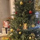 성당동제3경로당 | 대구 달서구 성당동 맛집 잡내없이 초벌이 다 되어...전통 ‘대원막창’ 솔직후기 (주차, 예약, 메뉴추천)