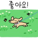 영동원목