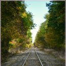 자연의 노래 이미지