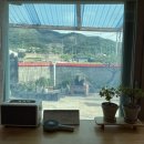 월오포레스트 이미지