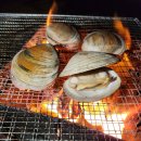 석가울농장 | 동두천 저렴하고 계곡있는 돈내미캠핑장 9번 전세캠, 명당 및 사이트 안내