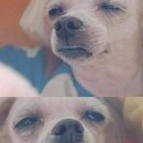 표정
