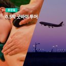 호성투어샌딩프로 | 푸꾸옥 0.5박 굿바이 투어 공항샌딩 마사지 패키지 실사용 후기