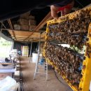 대벌농장 이미지