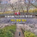 여수중앙여자고등학교 | 여수 벚꽃 명소 승월마을 저수지 자산공원 일출정 중앙여고 충민로 벚꽃