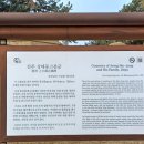 진주 상대동 고분군 네이버블로그