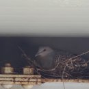 (주)에스앤씨코퍼레이션 이미지