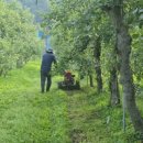 한성기화기 이미지