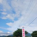 벌떡새우 이미지