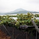 반곡 농장 이미지