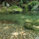 숲속의 하얀집 이미지