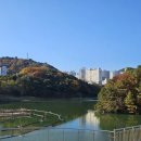 제2센텀부동산공인중개사사무소 네이버블로그