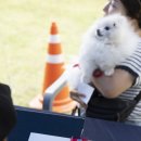 동탄행복약국 이미지