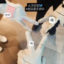 (주)곰바위 | 2/25(수) 스크린벙 후기 (아르떼 라운지 회원후기)