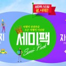 내맘대로여행