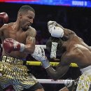 J World boxing 이미지