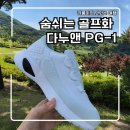 숨쉬는 돌 | 숨쉬는파크골프화 다누앤 PG-1, 용인 처인 체력단련장 발편한 라운딩 후기!