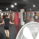 포항이종격투기 이미지