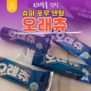 포유덴탈 | <강아지간식추천> 오래씹는 강아지껌 ' 슈퍼포유 오래츄 '