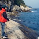 아빠어디가바다낚시 이미지