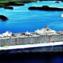 황포돗대 이미지