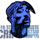 [Crips] Compton ghetto Nigga's Tic Tok #9 이미지