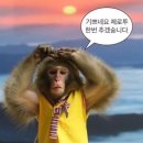 샐러듬뿍 이미지