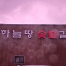 백년가업 하늘땅본점 이미지