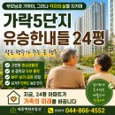 올위드행복한공인중개사사무소 | 왜 부모님께는 24평이 더 행복할까? 세종 가락5단지에서 찾은 답