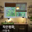 작은평화 네이버블로그
