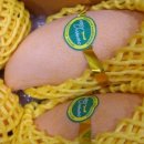 롯데부동산중개 이미지